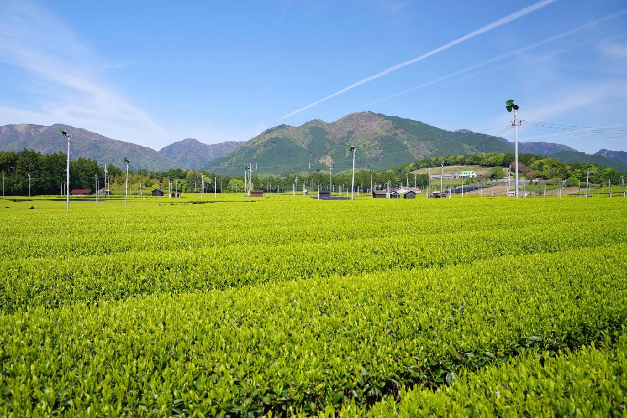 Tabist Miya Yokkaichi Suizawa Hotel Ngoại thất bức ảnh